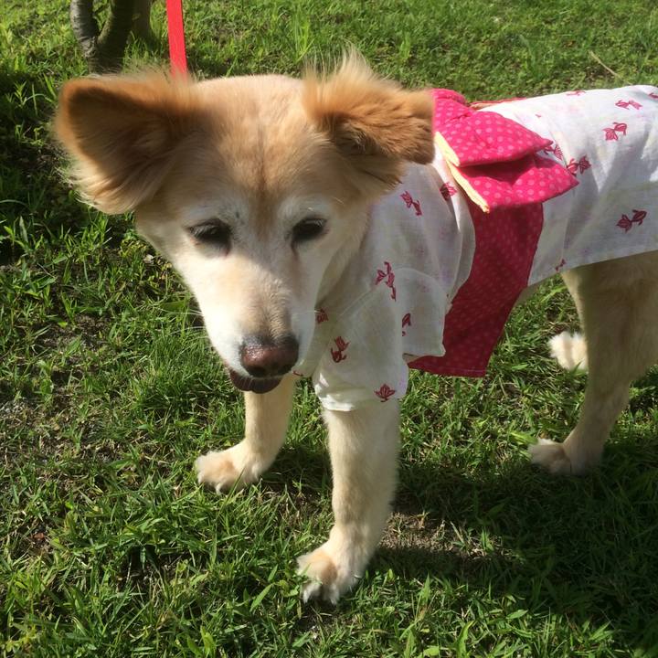 C39adf38 0baf 4bcd b564 7c5231a27f88