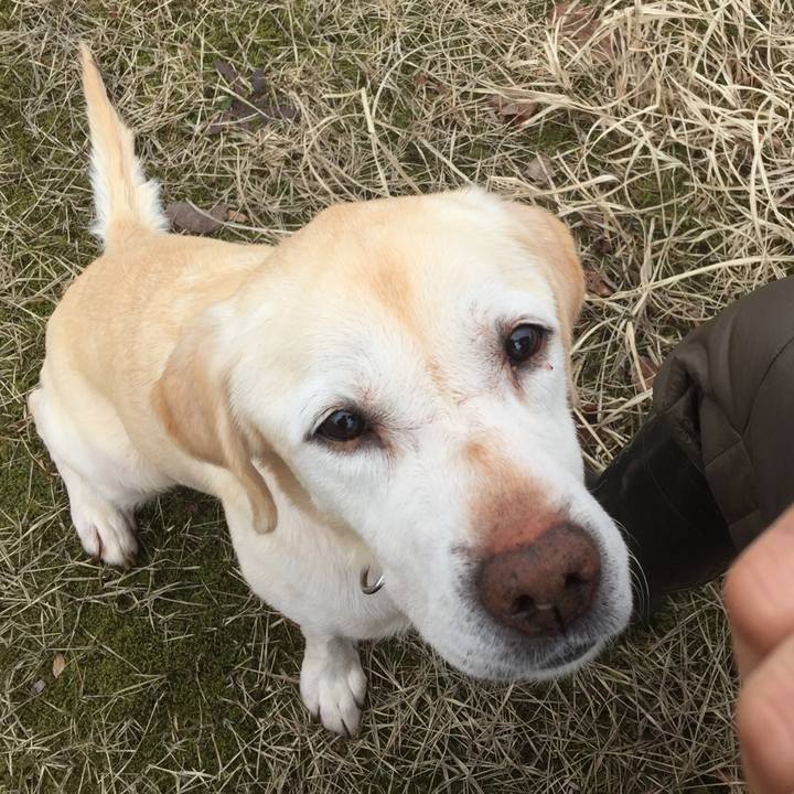 C39b3da4 d070 4afb 8ada d1e46b4171cd