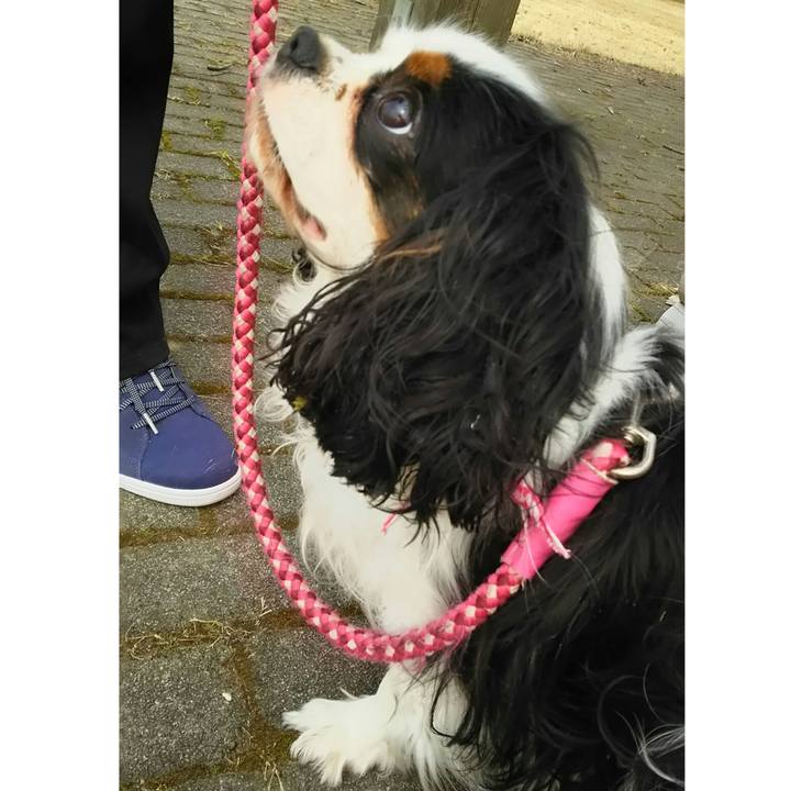 C39b42c8 d26f 486f 8ae3 b395bde282b6