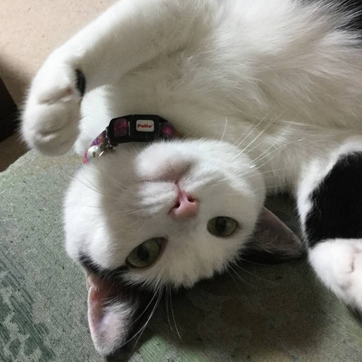 C39b9f81 4a02 4ee6 9aad 68bd17635757