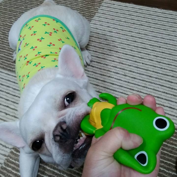 C39bc107 e9d7 4657 abbf 48cdd91e7b81