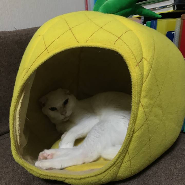 C39bd40b ae50 485c acb3 3adae19f83ff