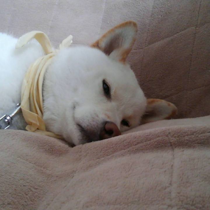 C39bdc77 66d4 4efc ab9b 8ae23b7eb668