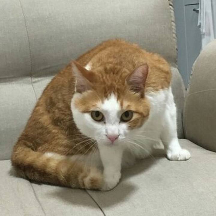 C39c156c f904 4e99 b473 be560145a20e