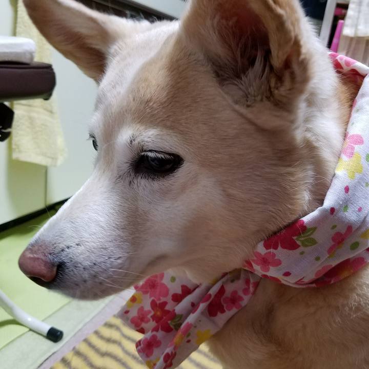 C39c7d3f cc2e 4dd9 a0c7 2219be5f4b63