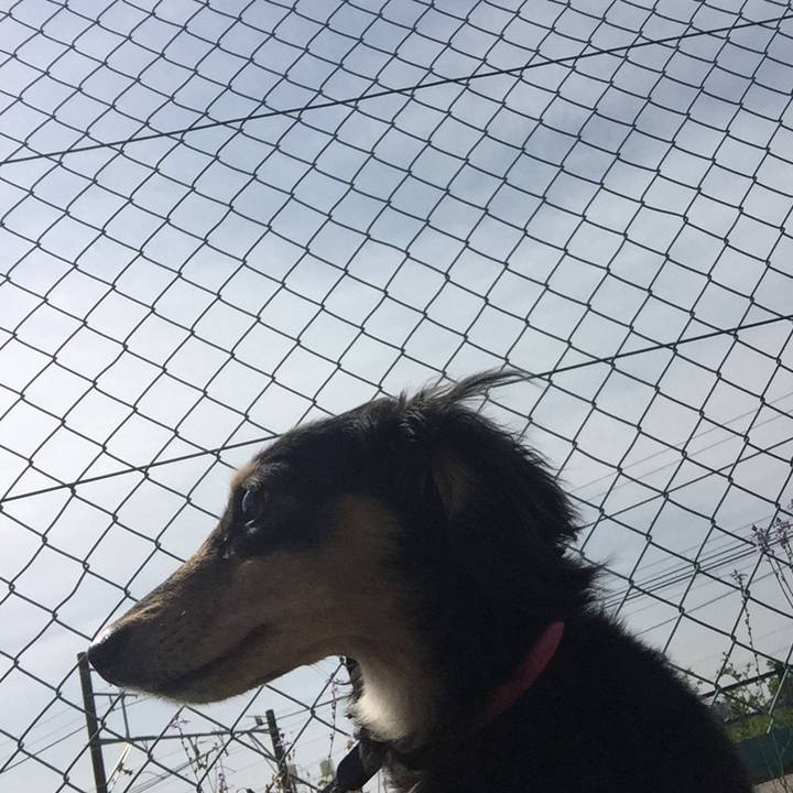 C39d6562 d03b 40b7 8a41 007f34af706e