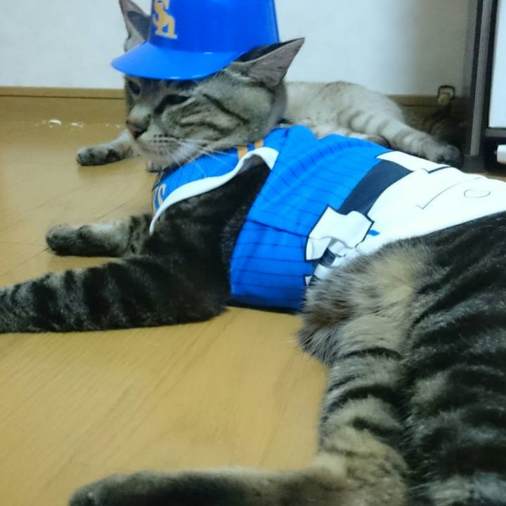 C39de216 3970 451c af7d 218fdce468a9