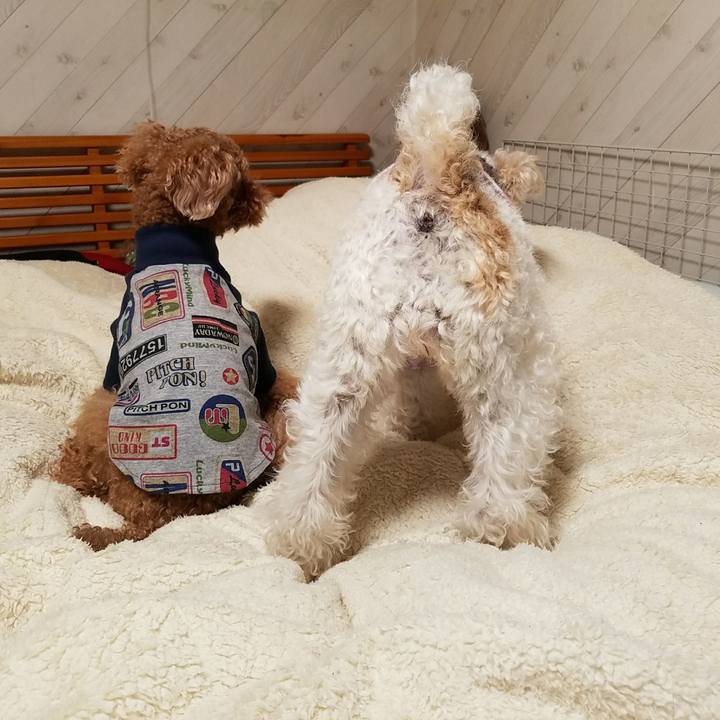 C39e0ef5 dfe8 4437 8c7c 77db04ad6eb8