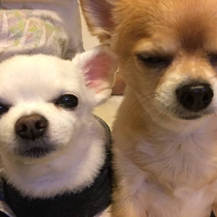 C39f0aa8 2209 4dc8 9b89 45aeb65844ee