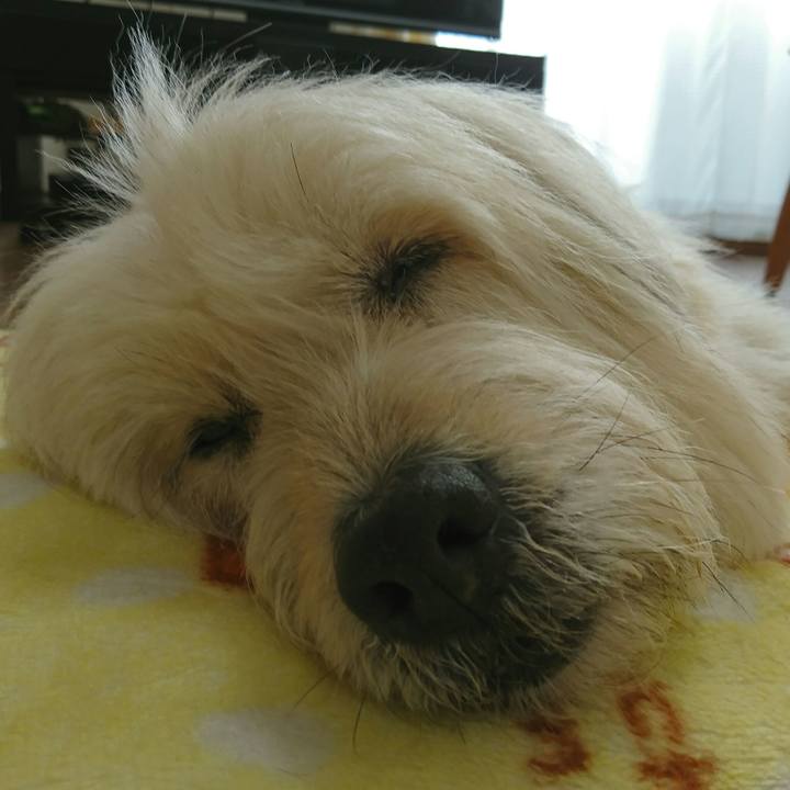 C39f641c 11e3 4381 8541 d31a3524fd51