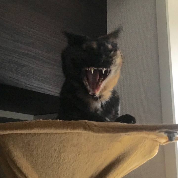 C39faa99 a8ca 482d b8f1 f4fda8498fc9