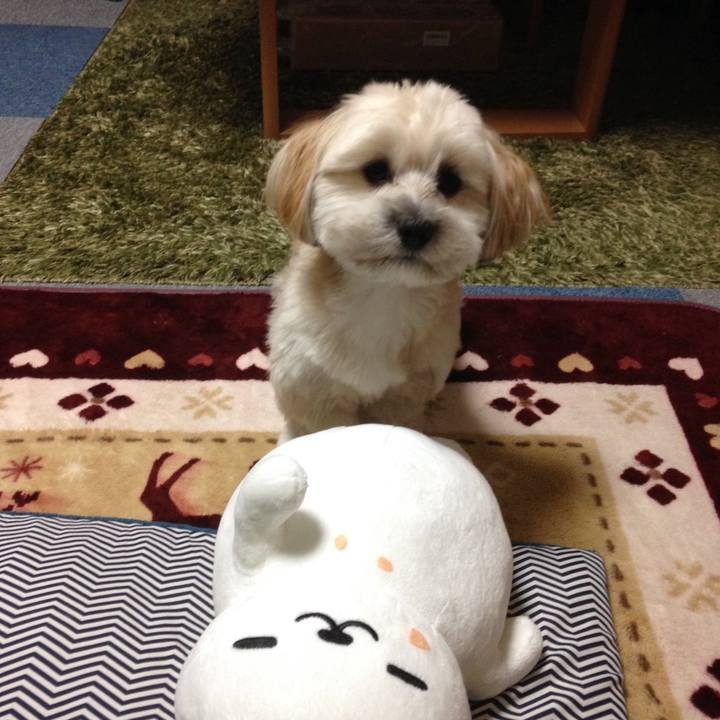 C3a06a0f 0656 4879 a97c 190939ba5406