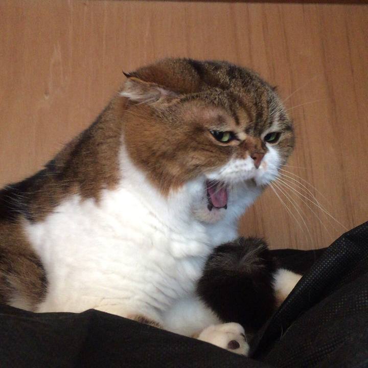 C3a2171d cec2 4e73 87a9 d518c909759a