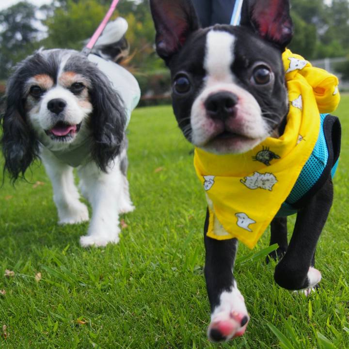 C3a236f6 e736 4ca9 b6be 4697ab96524a