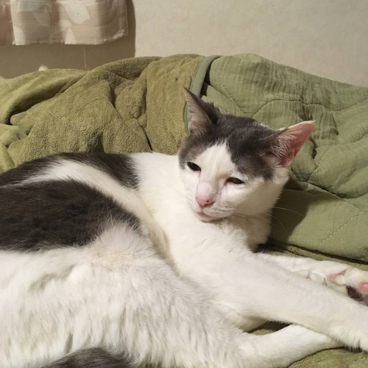 C3a293a4 cac2 44dc 8a8e aafc1032ecfa