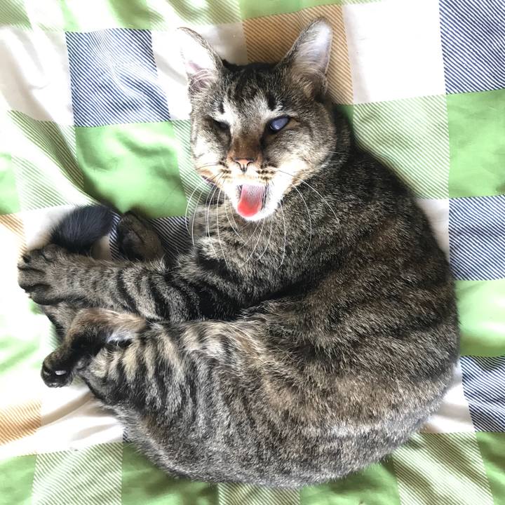 C3a2d817 7885 4bf3 a7bd 95dfa63cc32d