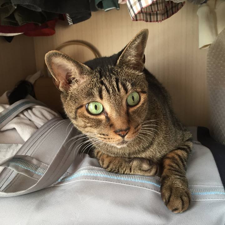 C3a38142 55af 45cf a643 18002077434f