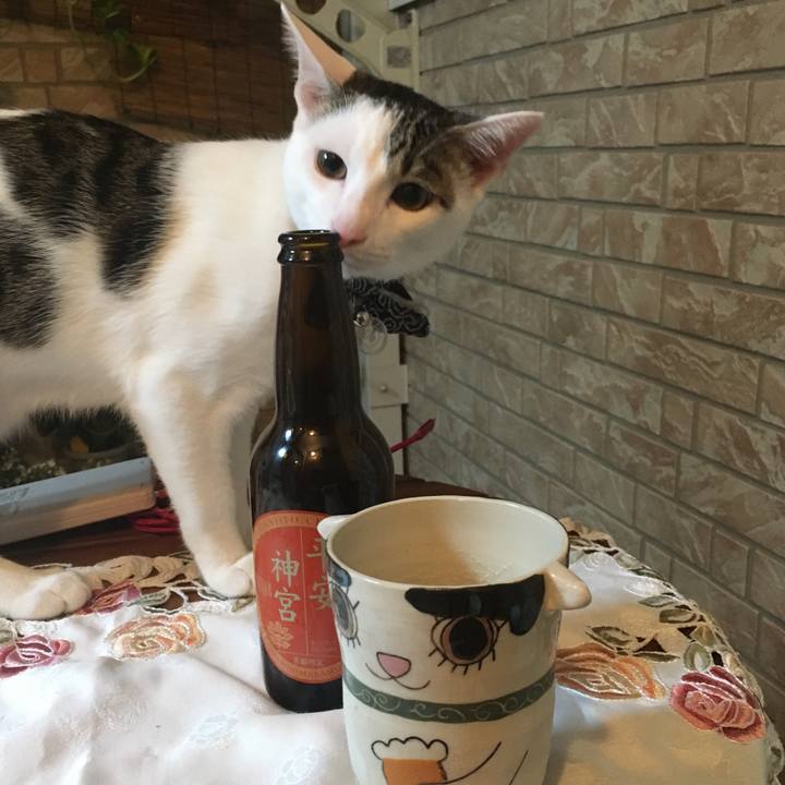 C3a38548 f91c 4fc7 8a38 4cd8566d95ba