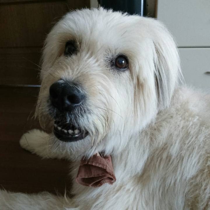 C3a388be 9788 4126 bb72 4023eba288ef