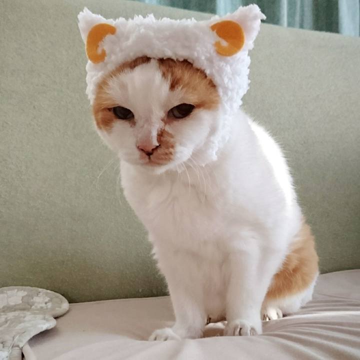 C3a3f750 79ce 4249 89ad 337e7a2593c4