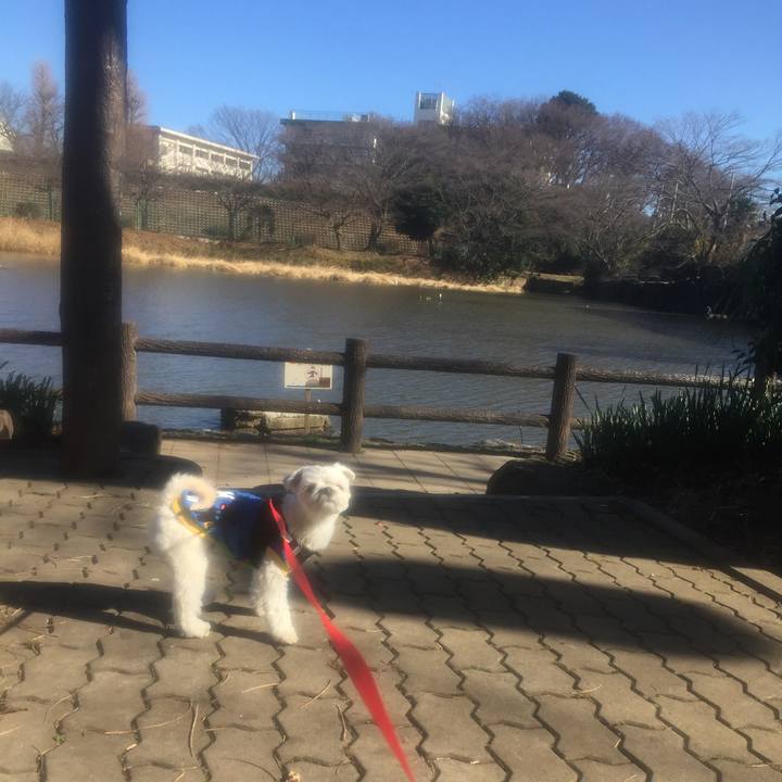 C3a469fa 4b4d 4487 9dc8 19b6e884abec