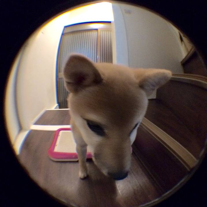 C3a5a360 bc4a 4e69 ab76 72d8f6cea197