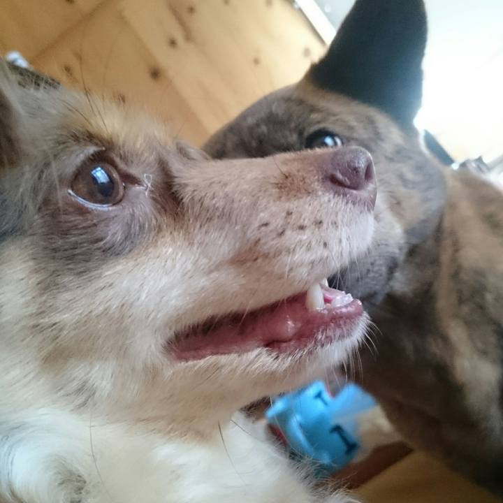 C3a5aca5 e4fb 4612 b1ec 69dd8d3ddda7