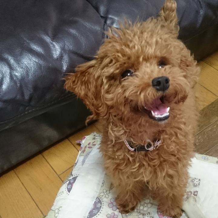 C3a63551 0333 4a62 8d1a 2c15ed4b1913