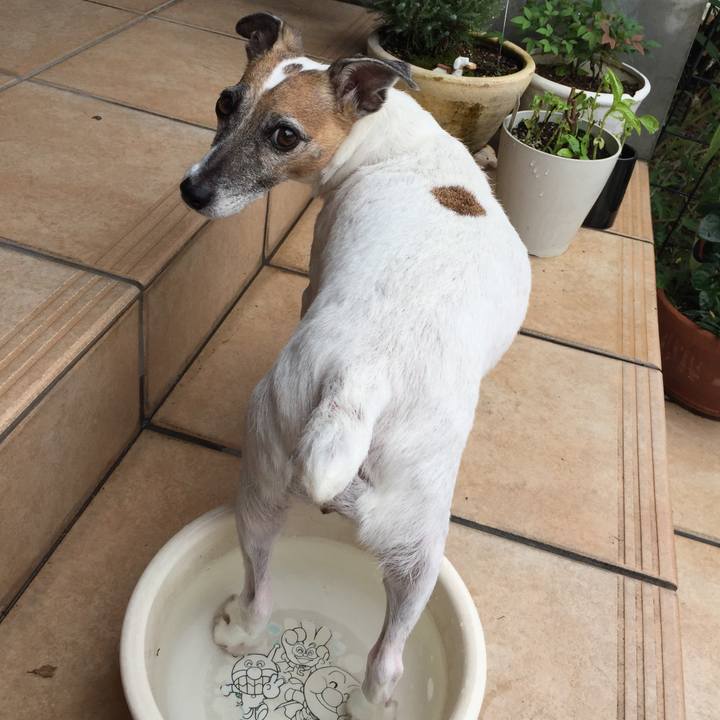 C3a66eab 9695 449c bd07 10da0f55d02b