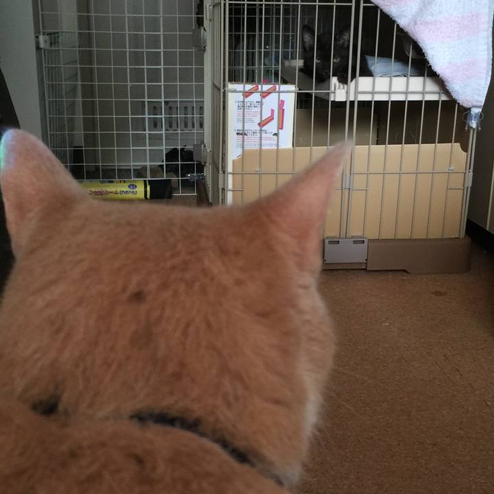 C3a7043e 73b6 4b71 9286 98337eff710d