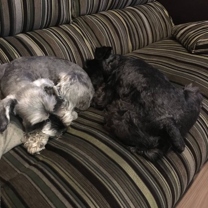 C3a7e067 8853 4b7d 93f4 aff73f90dfed