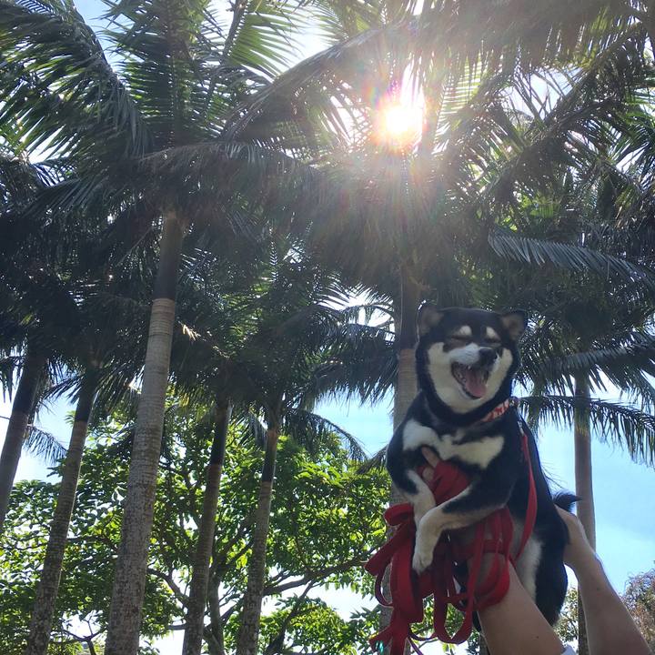 C3a7e94d 34d6 40b4 9d37 43ac2b0c99a4