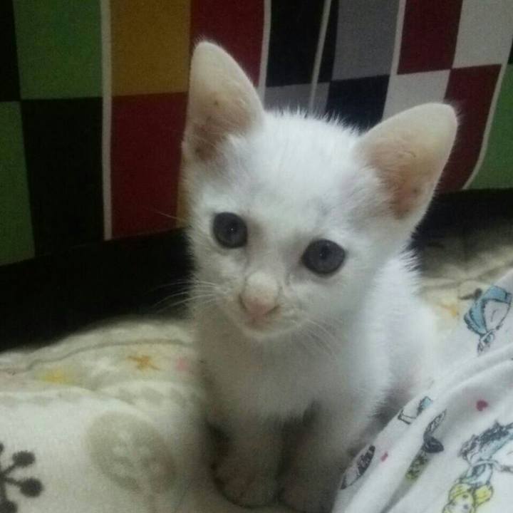 C3a8d7c4 9feb 476e a84f 8e6c413d3b39