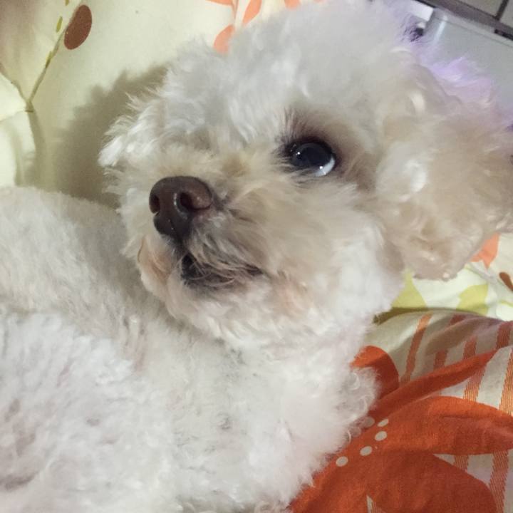 C3a9768d 05a3 4062 adce 0c51702d5570