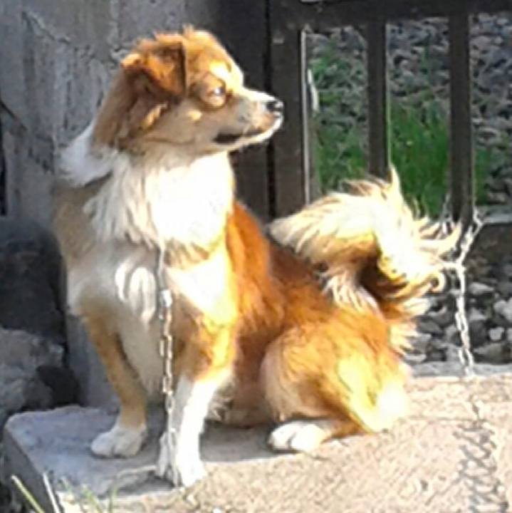 C3a9be49 5199 4de3 9c10 f22d8ea02fe8