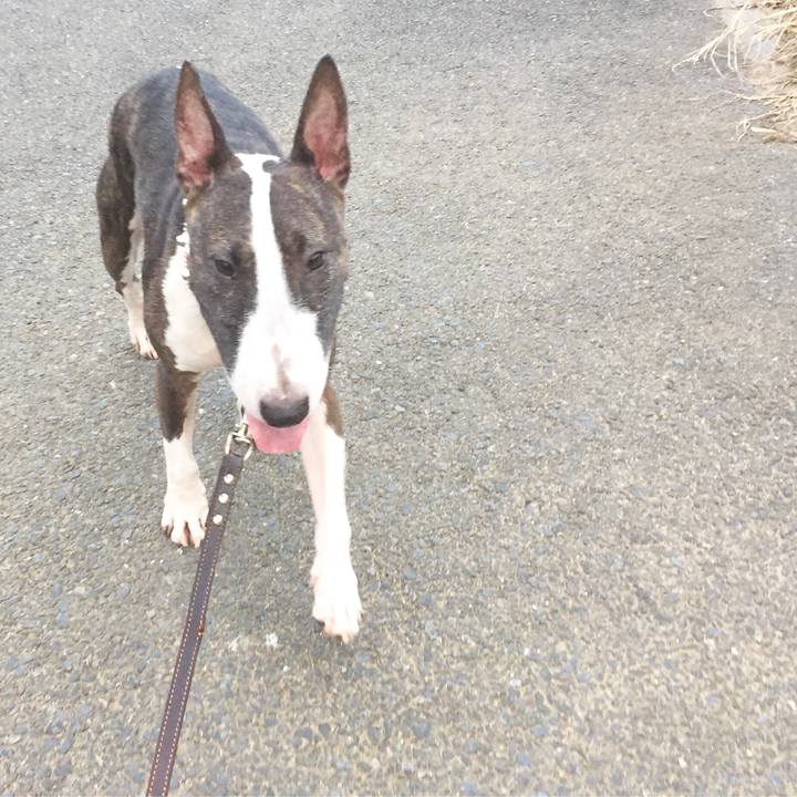 C3a9cedb d748 42ac aa52 c06044be0efa