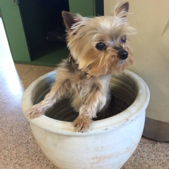 C3a9f4d8 33c0 4f50 8480 a3467edacc4c