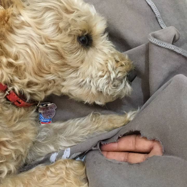 C3aa3bb8 fde1 42db 9837 5d4ea829c279