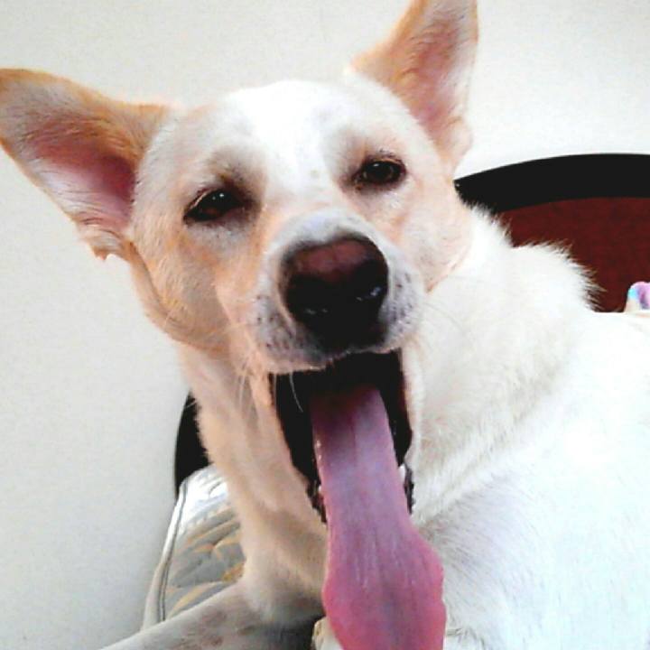 C3aac6ed 0378 42ff 99d3 110684621548