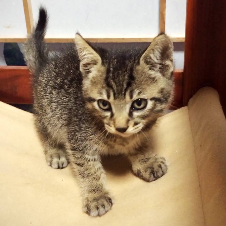 C3aacca4 ba40 4e61 ae9f 28946d44a8c5