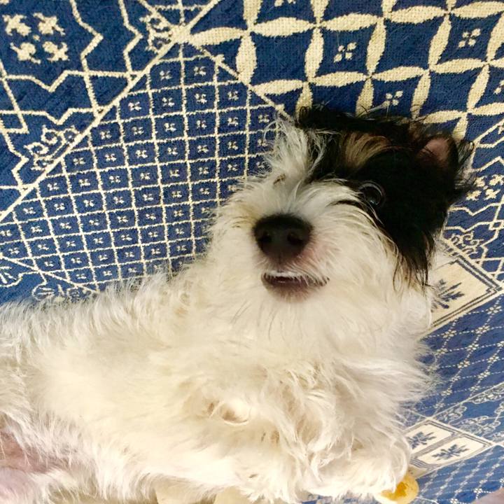 C3aaccdc d321 417b 8094 cd11891e87d0