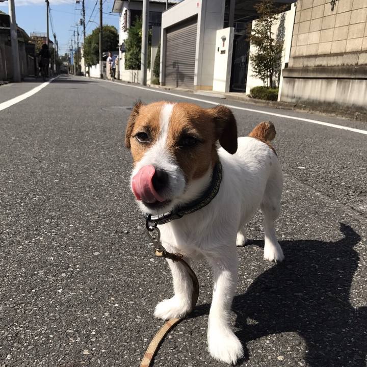 C3ab63d1 9525 4e57 b22d c7e1c9fa2cbd