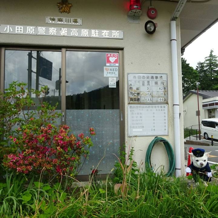 C3ae3113 9c59 49db b256 ba40dd5fa07c