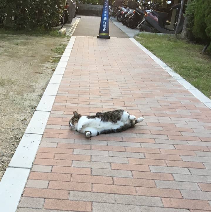 C3ae5cb2 6c72 4628 aecb 16dd1a5aef09