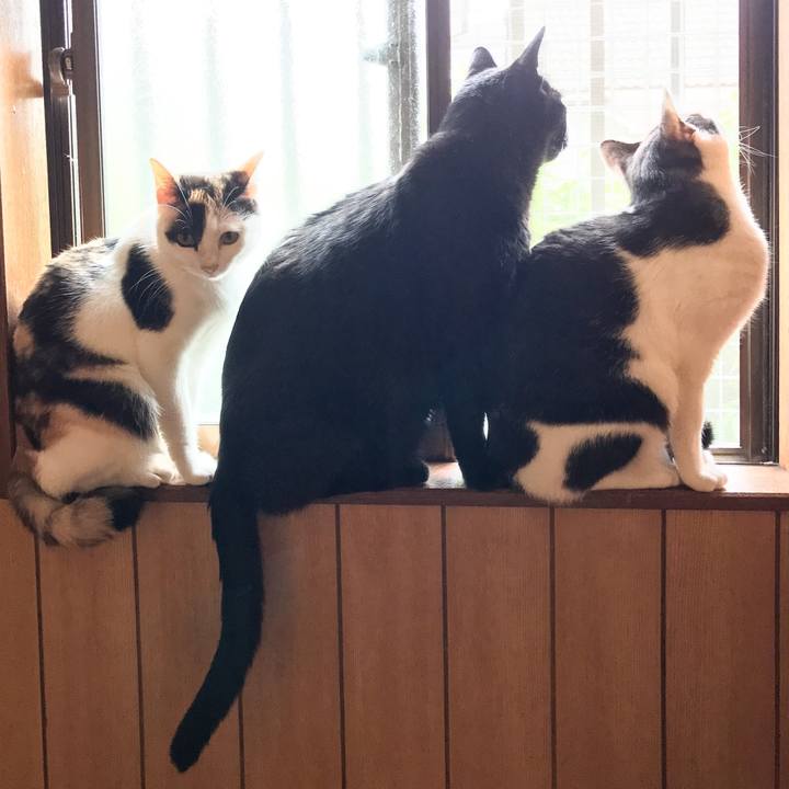 C3aefdcf 2bd3 42da 8dbd 74cc1c21daf0