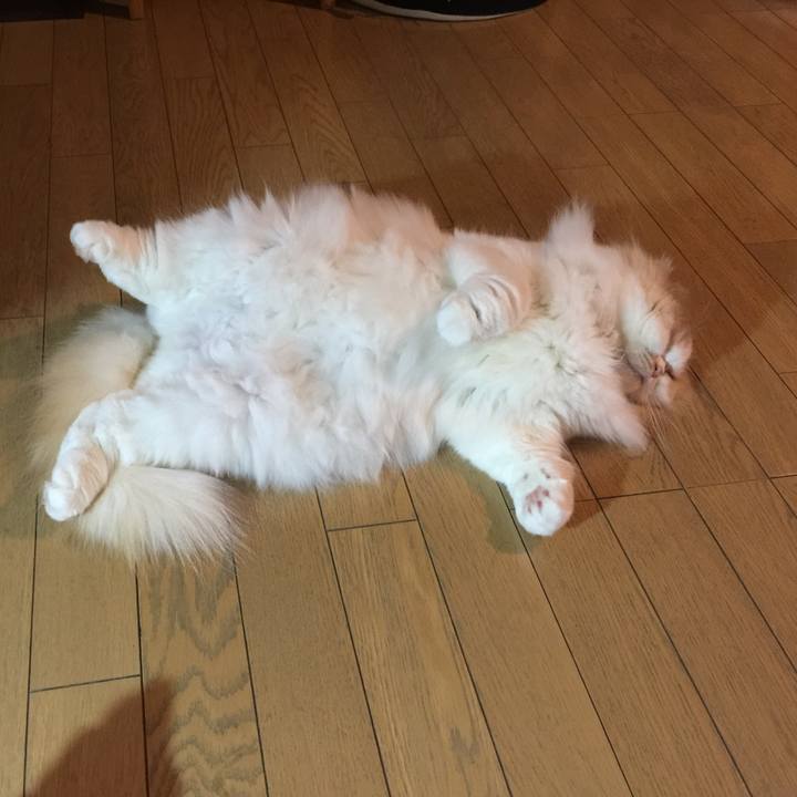 C3af421c 9ec0 47b3 940d 0b5ecb457afb