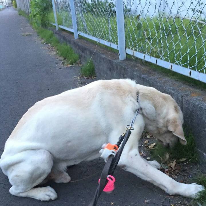 C3af682f 9f98 47cf b0be 8a88d3a706e6