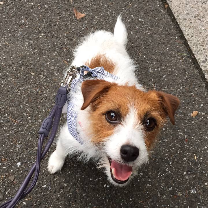 C3b01a21 58b7 4ca4 aa4f 0a332ab93f2d