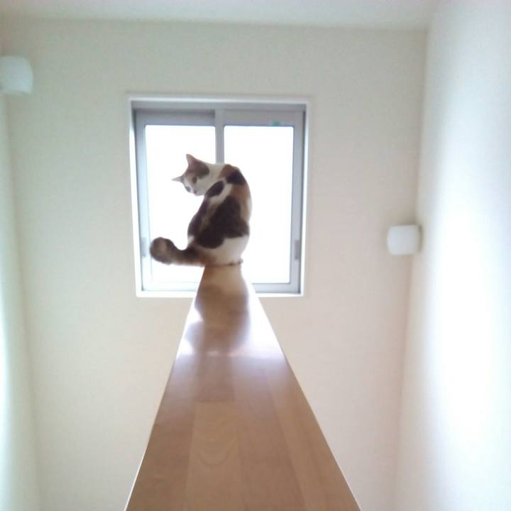 C3b0b194 4e78 4dcf a357 da8ee5028db8