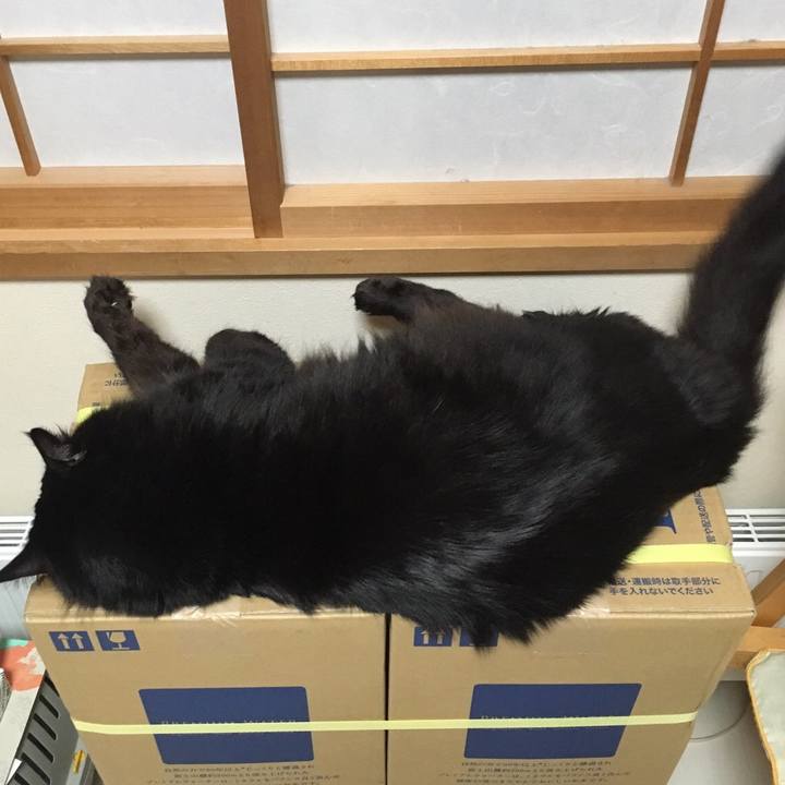 C3b0f342 4d04 43ec b5c8 c10c1447592a